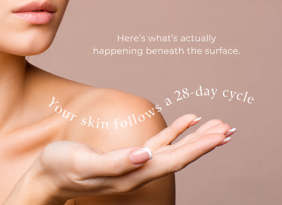 Best Herbal Infusion for Skin: Support Your Skin Cycle