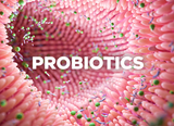 Why Probiotics Fail Without Prebiotic Fiber to Feed Them