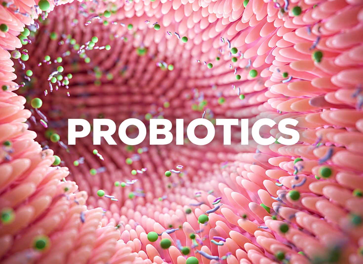 Why Probiotics Fail Without Prebiotic Fiber to Feed Them
