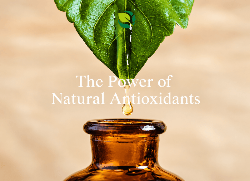Antioxidant Herbal Infusion for a Bridal Skin Routine: Does It Help?