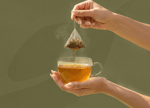 Complete Guide to Choosing the Best Herbal Infusion