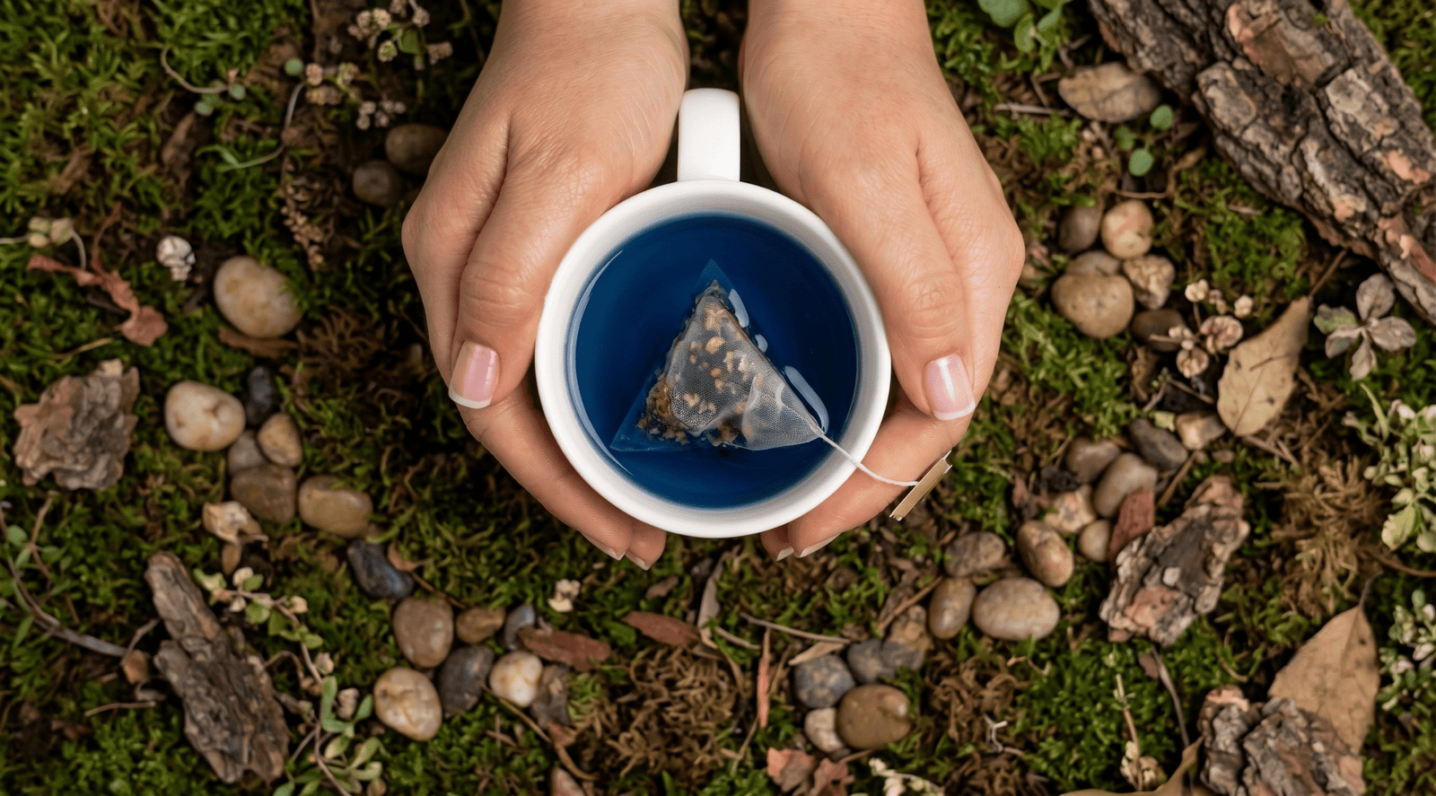 Herbal Infusion Ritual: Building a Daily Wellness Habit