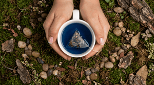 Herbal Infusion Ritual: Building a Daily Wellness Habit
