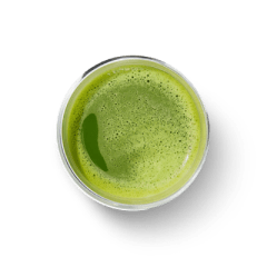 Moringa
