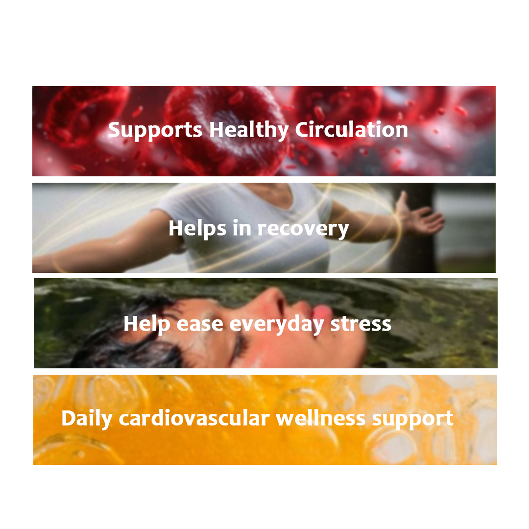Happy Heart – Herbal Wellness Infusion