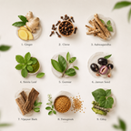 Gluco Sugar Balance – Herbal Wellness Infusion