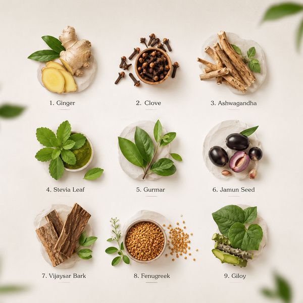 Gluco Sugar Balance – Herbal Wellness Infusion