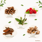 Lady Bloom – Women’s Herbal Wellness Infusion