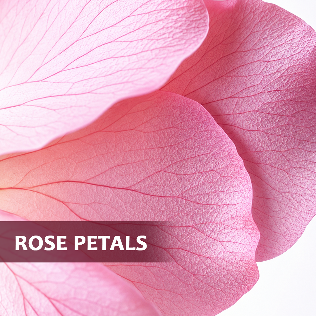 Rosy Glow | Rose Flower Wellness Infusion
