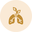 Anti-inflammatory