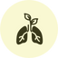 Anti-inflammatory