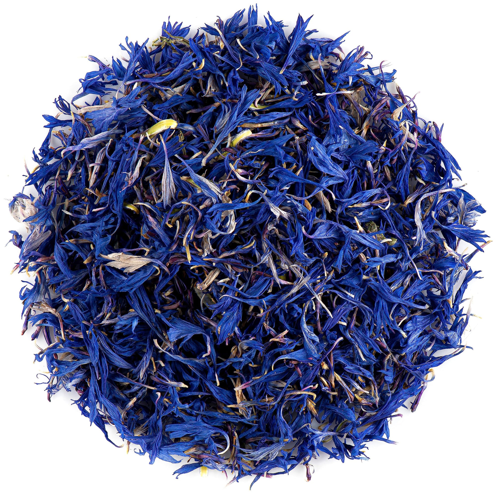 Cornflower 