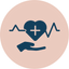 Daily cardiovascular wellness support