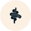  Digestive Wellness