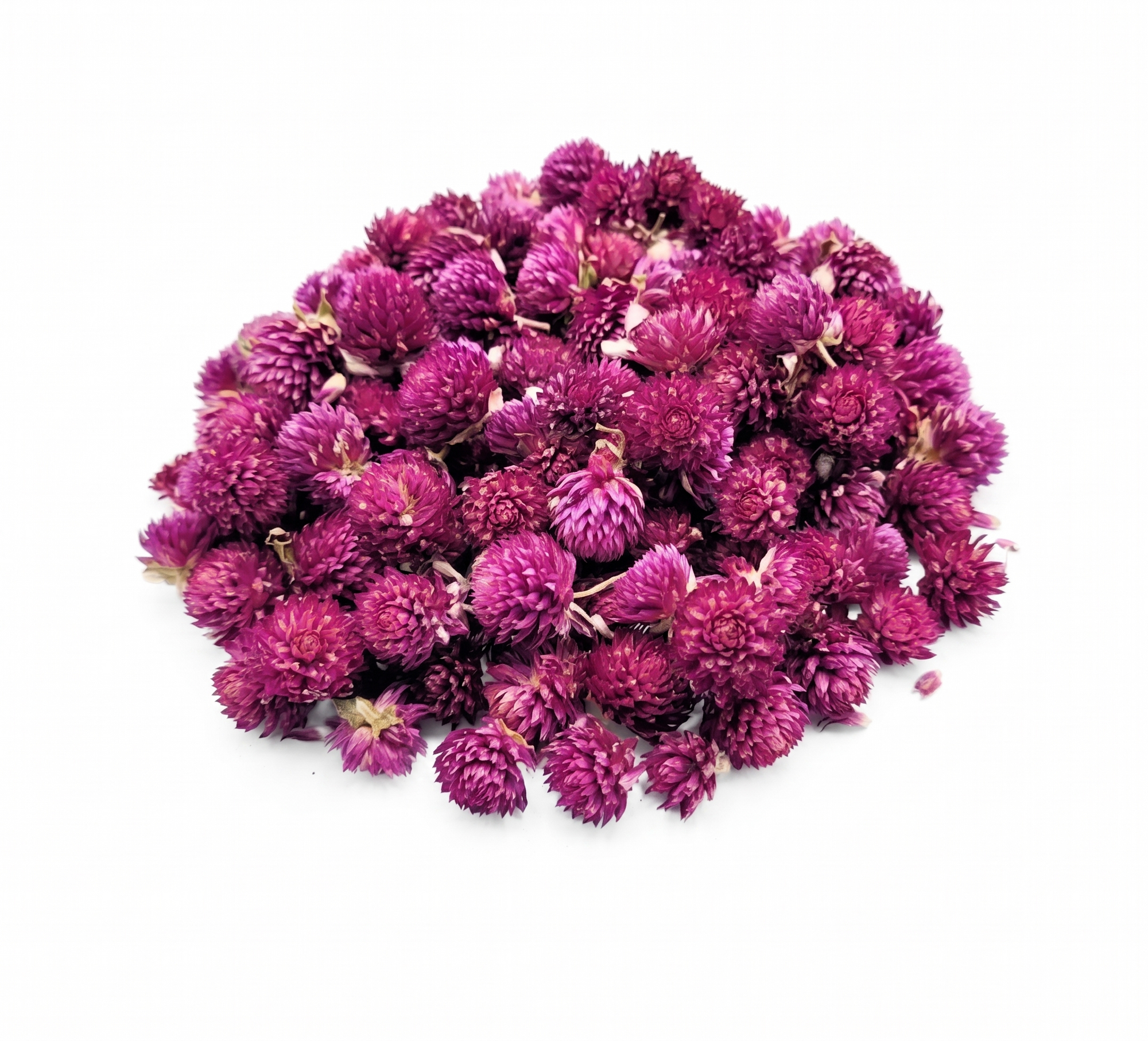 Globe Amaranth