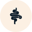 Healthy Digestion