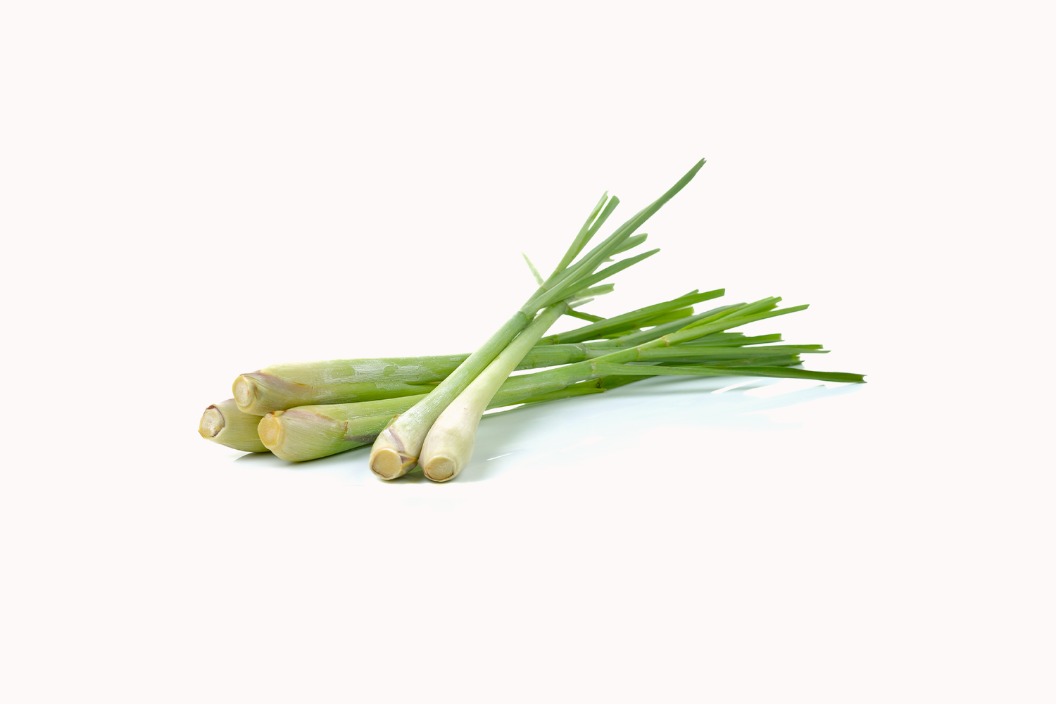 Lemongrass 