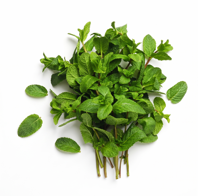 Mint 