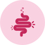 Reduces Bloating Naturally