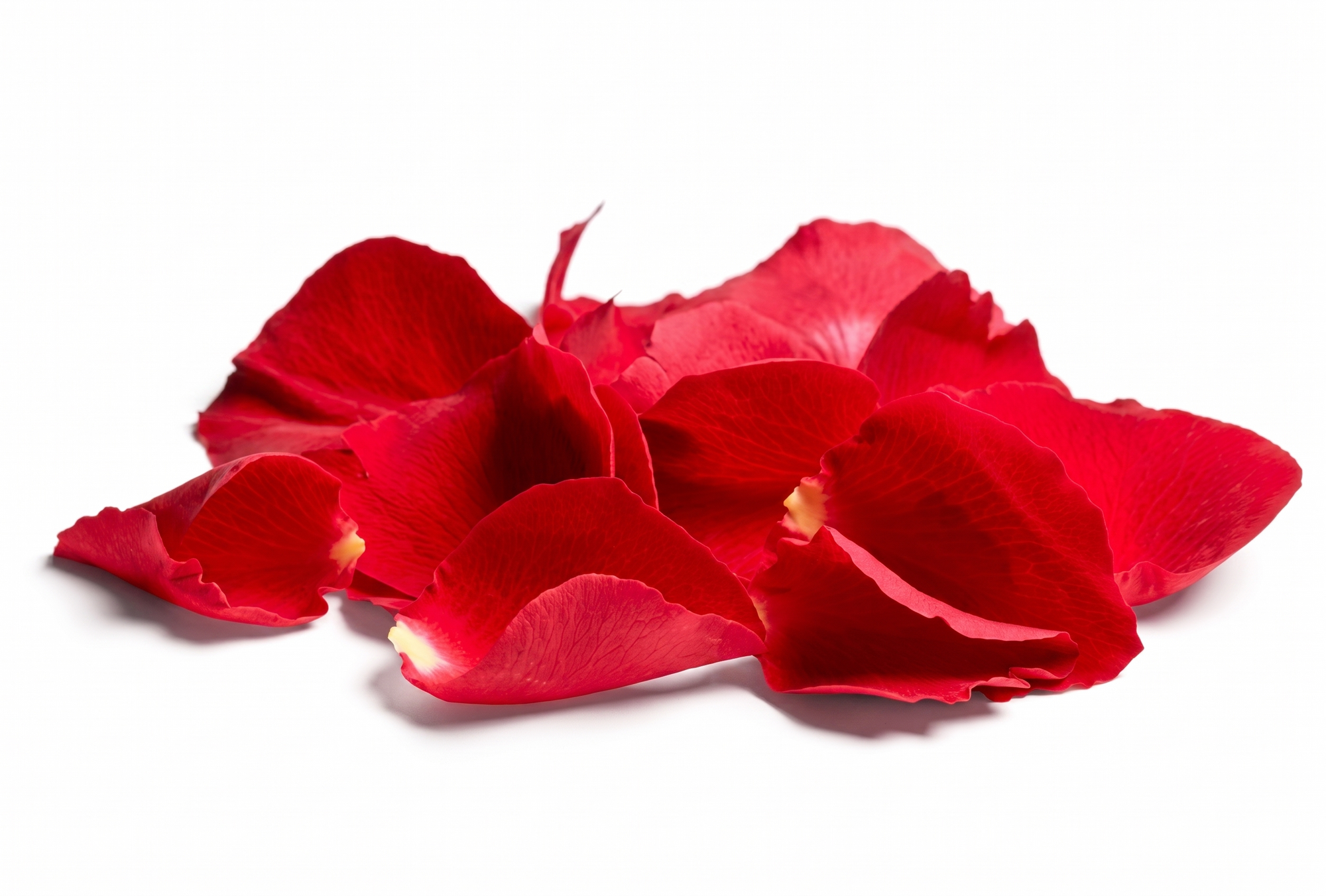 Rose Petals