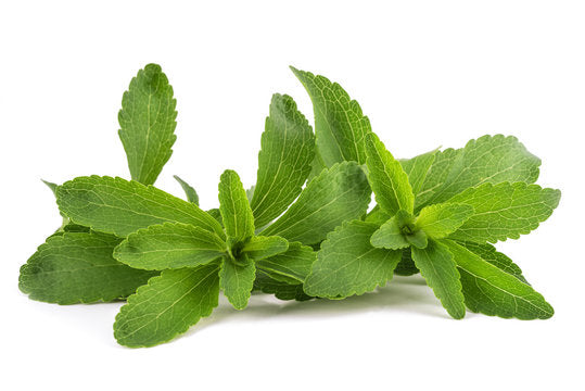 Stevia