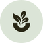 Superfood Nutrition