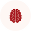 Supports Memory & Cognitive Wellness