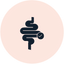  Supports Digestive Wellness