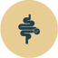 Supports Digestive Wellness