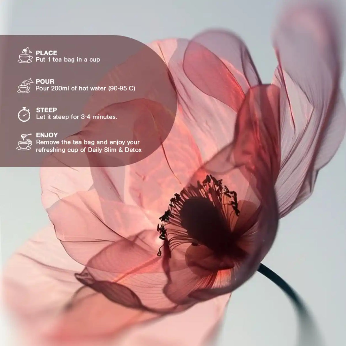 Tea bag instructions overlayed on a close-up of a pink flower with a blurred background