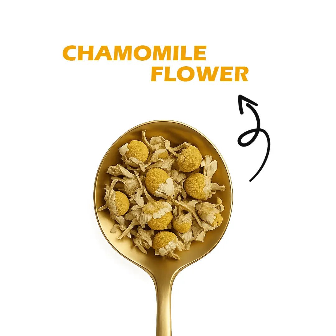 Easy Sleep | Chamomile Flower Infusion | 32 Premium Pyramid Tea Bags - Sage & Soul