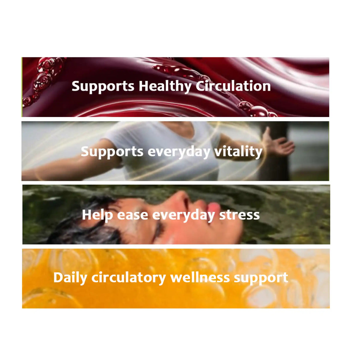 A four-panel marketing graphic with text claims: 'Supports Healthy Circulation,' 'Supports everyday vitality,' 'Help ease everyday stress,' and 'Daily circulatory wellness support,' over abstract red, white, green, and yellow backgrounds.