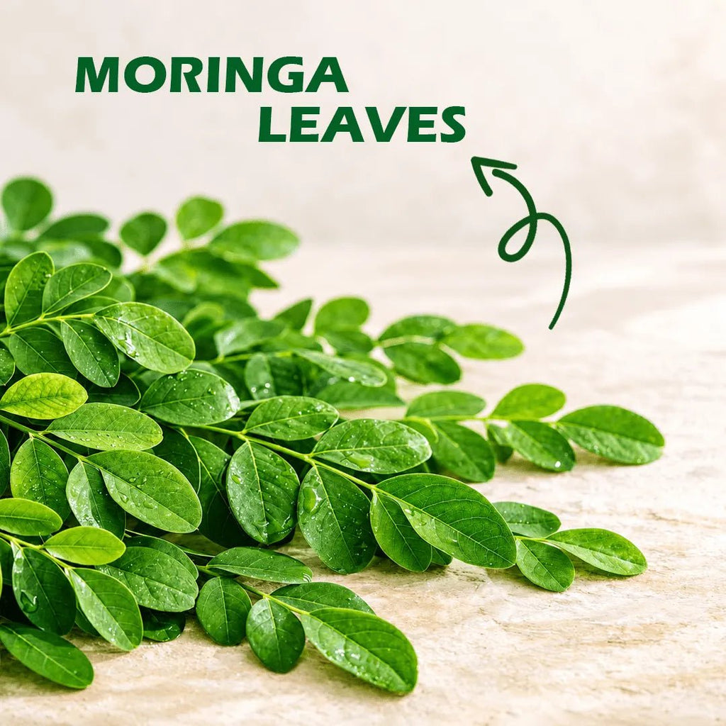 Moringa Superfood | Herbal Wellness Infusion | 30 Premium Pyramid Tea Bags - Sage & Soul