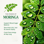 Moringa Superfood | Herbal Wellness Infusion | 30 Premium Pyramid Tea Bags - Sage & Soul