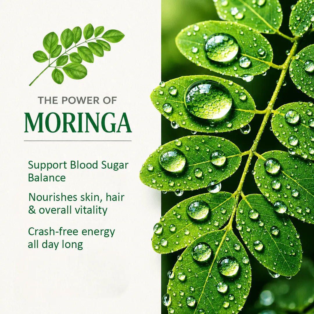Moringa Superfood | Herbal Wellness Infusion | 30 Premium Pyramid Tea Bags - Sage & Soul