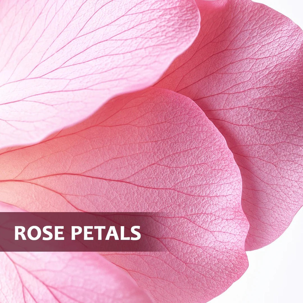 Rosy Glow | Rose Flower Wellness Infusion | 30 Premium Pyramid Tea Bags - Sage & Soul